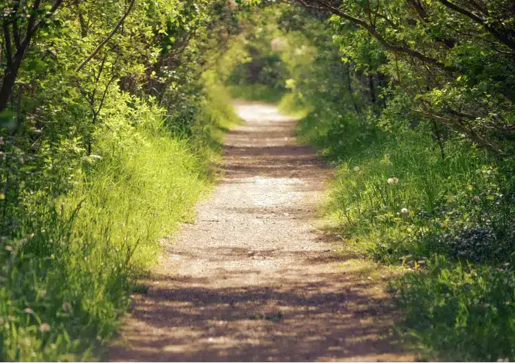 nouveau chemin